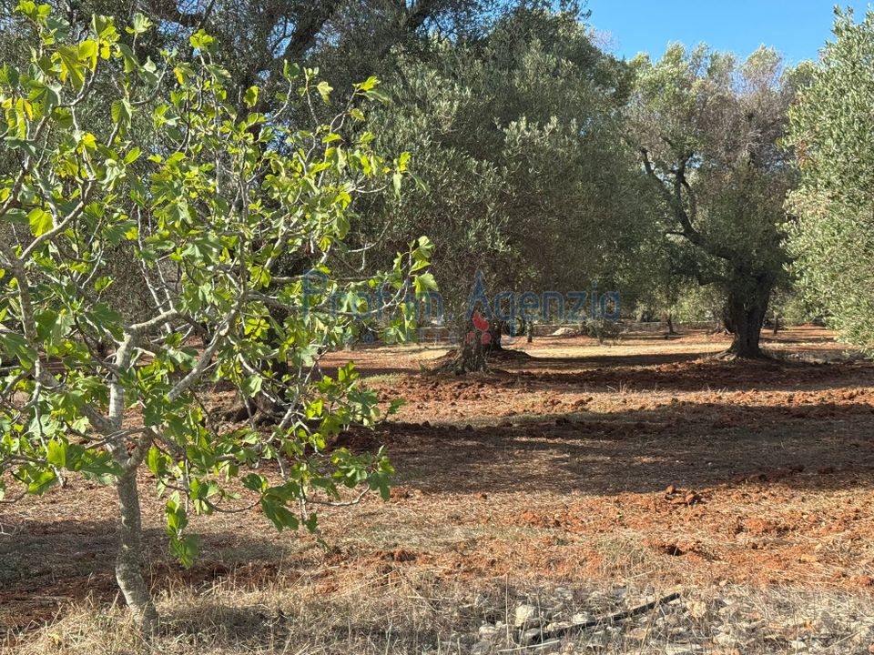 Helårsgrund i Carovigno, Brindisi - foto 1